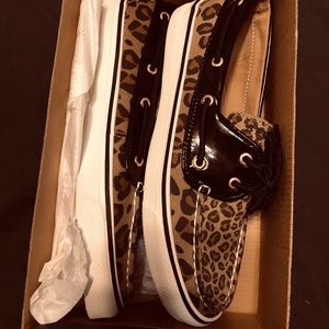 Cheetah Sperry